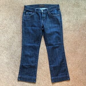 James Cured by Seun women’s jeans dry aged denim size 27 slim jeans blue denim